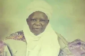 Heirs Seek Court Injunction to Stop Unlawful Development on Emir’s Estate Property